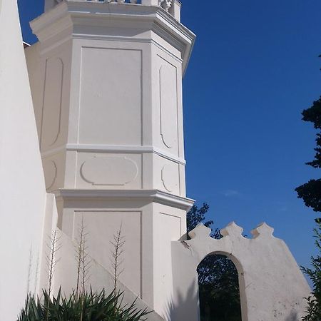 Villa-Chateau Les Terrasses - Tamaris, Plage Des Sablettes, Mer Au Bas De La Propriete 滨海拉塞讷 外观 照片