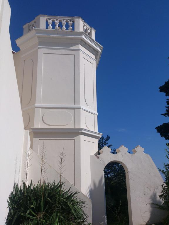 Villa-Chateau Les Terrasses - Tamaris, Plage Des Sablettes, Mer Au Bas De La Propriete 滨海拉塞讷 外观 照片