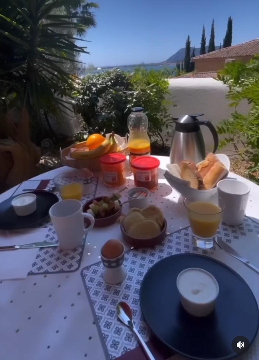 Villa-Chateau Les Terrasses - Tamaris, Plage Des Sablettes, Mer Au Bas De La Propriete 滨海拉塞讷 外观 照片