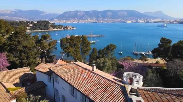 Villa-Chateau Les Terrasses - Tamaris, Plage Des Sablettes, Mer Au Bas De La Propriete 滨海拉塞讷 外观 照片