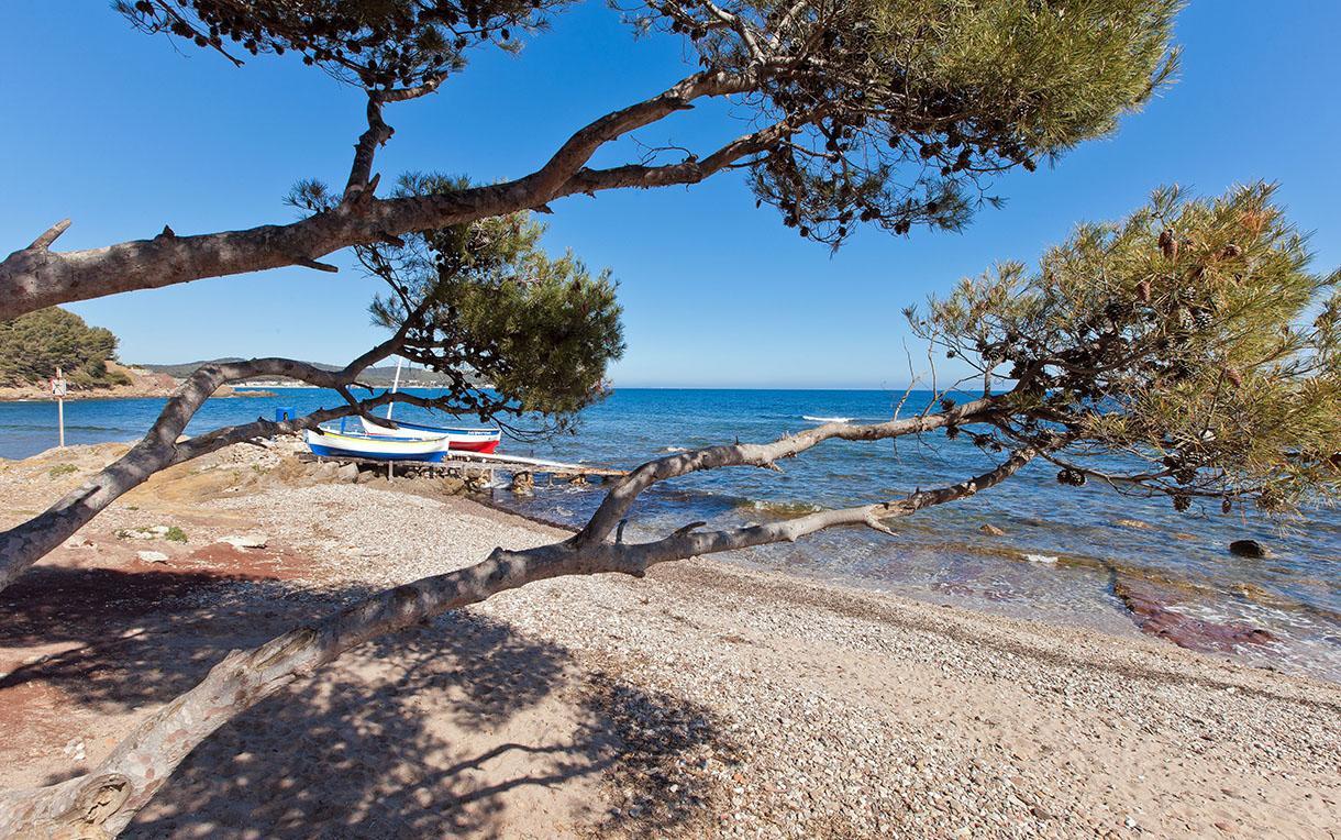 Villa-Chateau Les Terrasses - Tamaris, Plage Des Sablettes, Mer Au Bas De La Propriete 滨海拉塞讷 外观 照片
